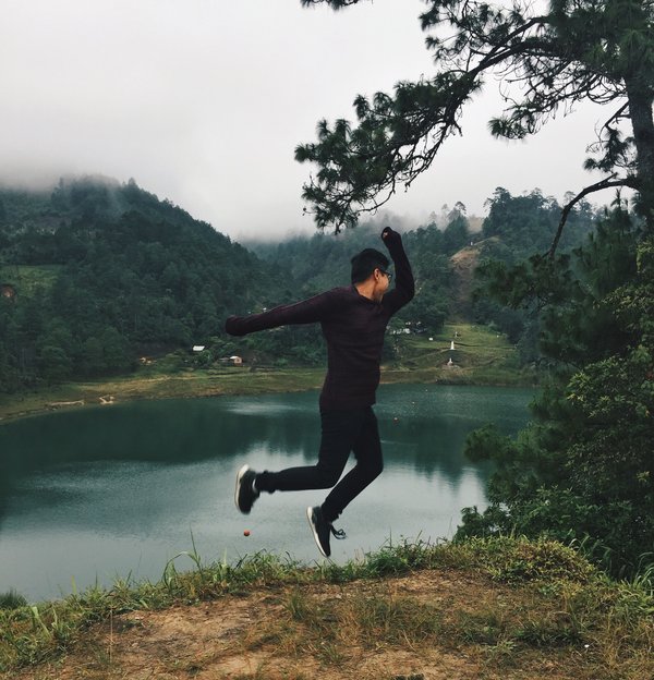 Une aventure unique et inoubliable le long de la Great Ocean Road en Australie